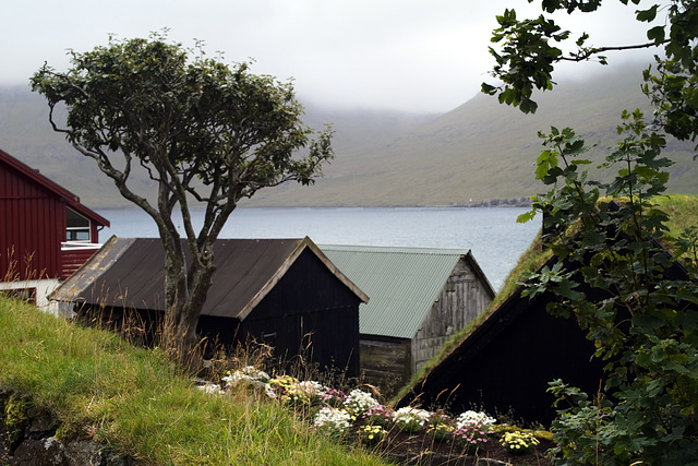 Faroe Islands, Bour
