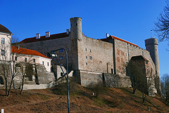 Schloss Toompea (Domberg) Tallinn