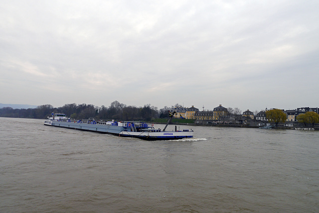 Rheinschiff bei Neuwied