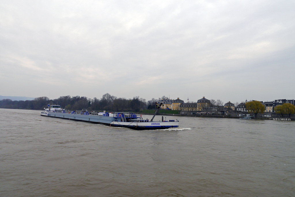Rheinschiff bei Neuwied
