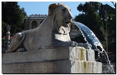 Piazza del Popolo -A lion from the central fountain