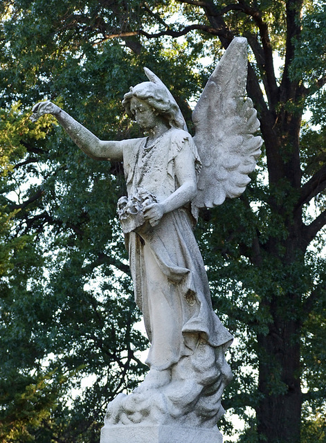 Holmgren Grave in Greenwood Cemetery, September 2010