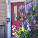 Dooryard lilac