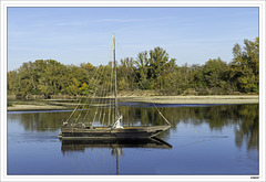 Bord de Loire