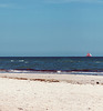 Kronsgaard beach with ships under sails (2008)