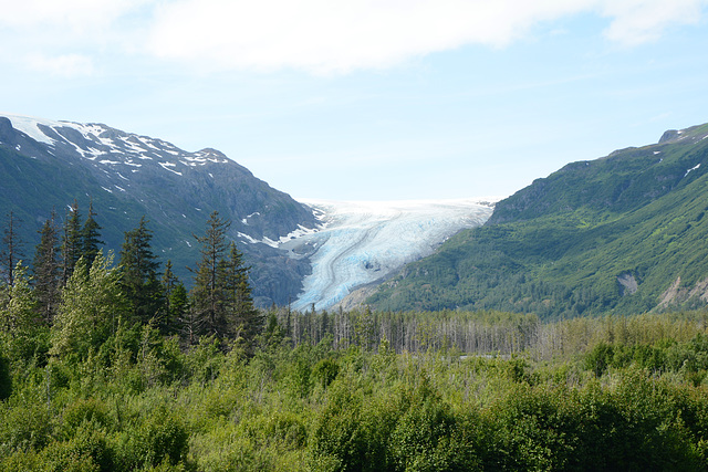 Alaska, The Resurrection River Valley and Exit Glacier