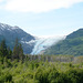 Alaska, The Resurrection River Valley and Exit Glacier
