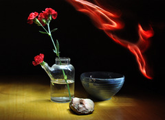 carnation and fire