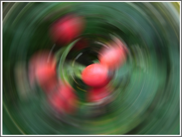 Flou circulaire avec Photoscape