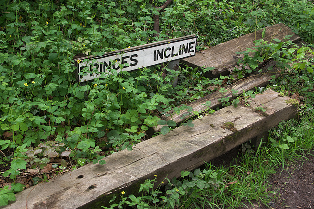 On the Princes Incline