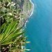 Funchal : Un tuffo da brivido a Cabo Girao