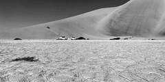 Duneski in Namib Desert