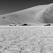 Duneski in Namib Desert