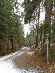 (064/365) Wanderweg im Seerental (Tharandter Wald)