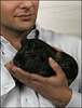 Man With a Cavy