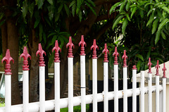 Tonga Fence (HFF)