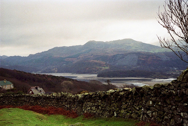 View along Afon Mawddach from the path to Dinas Oleu (Scan from 1993)