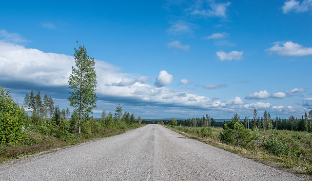 ... on the road again ... von Rovaniemi nach Hossan (© Buelipix)