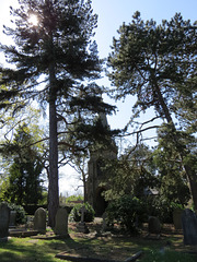 lavender hill cemetery, cedar rd., enfield, london