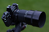 SMC Pentax 'K' 200mm f/2.5 lens on a Pentax K2DMD