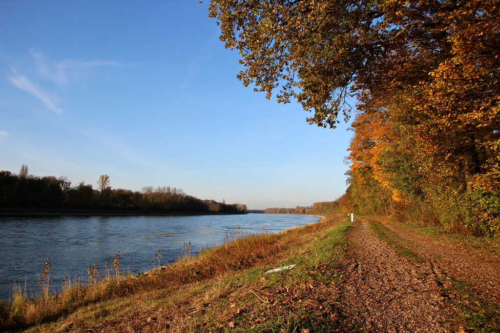 Der Rhein bei Sonnenschein