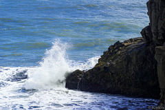 Felsen in der Nähe vom Kap Dyrhólaey (© Buelipix)