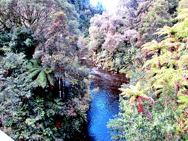 Tangarakau River