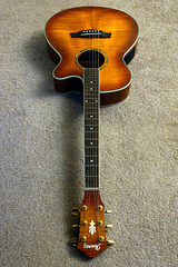 Ibanez Acoustic-Electric Guitar