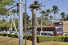 Street Scene with Bus and Monument – Alajuela, Costa Rica