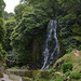 Azores, Island of San Miguel, Waterfall in Natural Park of Ribeira dos Caldeirões
