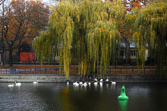 Berlin-Kreuzberg: Herbstidylle am Landwehrkanal - Autumn idyll at the Landwehr Canal