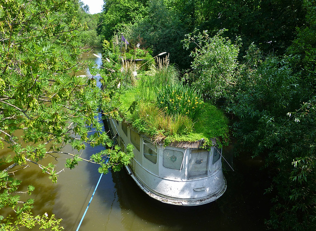 Das Naturschiff  - The Nature Ship