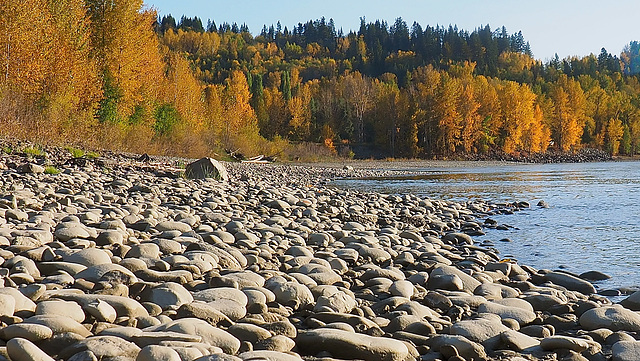 Fraser River, British Columbia