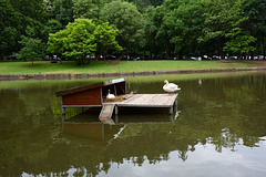 Bulgaria, Blagoevgrad, House for Swans on the Lake in the Park of Bachinovo