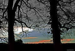 Baumfenster im Landschaftsgarten von Schloß Dyck