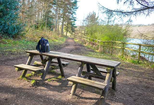 'Best wishes' to everyone and a 'Happy fence Friday'.... from Dj... at  'Linacre reservoir'  woodland walk.