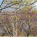 Frühlingsfarben / spring colors