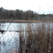 Fauler See in Sperenberg - Naturschutzgebiet
