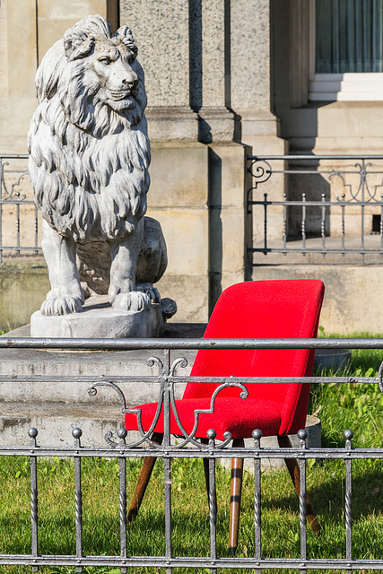 The lion and the red chair