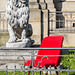 The lion and the red chair