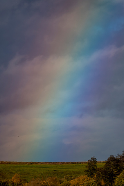 A rainbow at Burton wetlands
