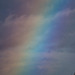 A rainbow at Burton wetlands