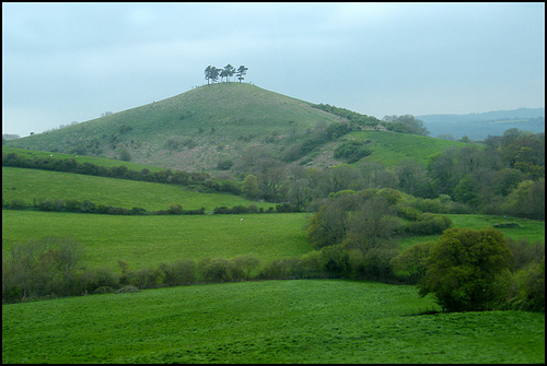 Colmer's Hill, Symondsbury