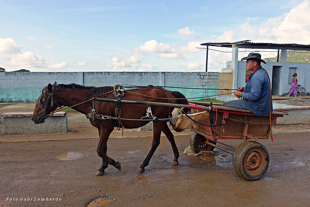 horse drawn-cart in Pinar del Rio/Cuba