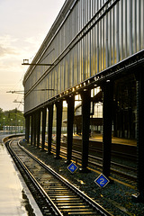 Morning at Haarlem station