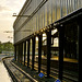 Morning at Haarlem station