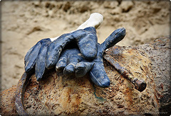 blue gloves