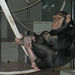 Schimpansin Bärbel - 2007 (Wilhelma)