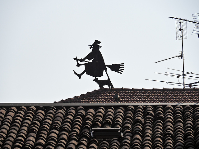 The witch with the broom and the black cat flying on the roofs