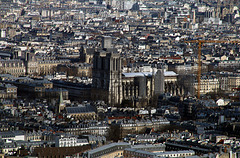 Notre-Dame de Paris , deux ans après , le chantier se poursuit , 1000 chênes ont été sélectionnés et récoltés .....